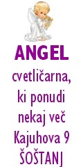 Cvetli�arna ANGEL